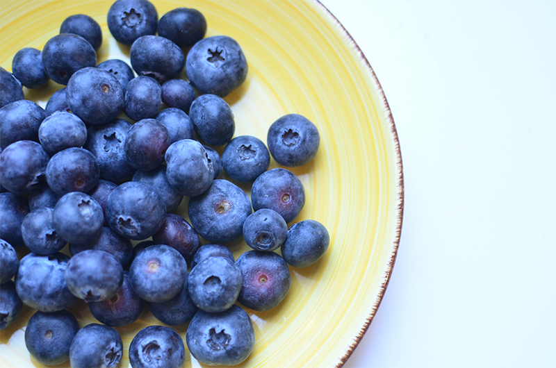 maviyemiş blueberry nedir