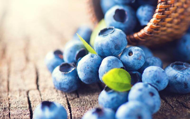 türkiyenin-blueberry-potansiyeli