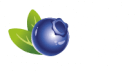 Safirberry