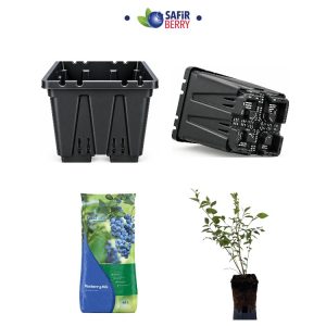 35 Lt Saksı + 40 Lt Blueberry Toprağı + 2 Yaş Fidan Seti - Safirberry